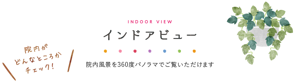 インドアビュー